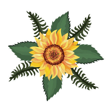 beautiful sunflower drawing isolated vector illustration graphic designのイラスト素材