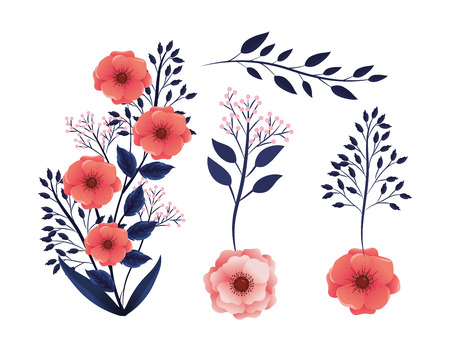 set tropical flowers plants with exotic branches leaves vector illustrationのイラスト素材