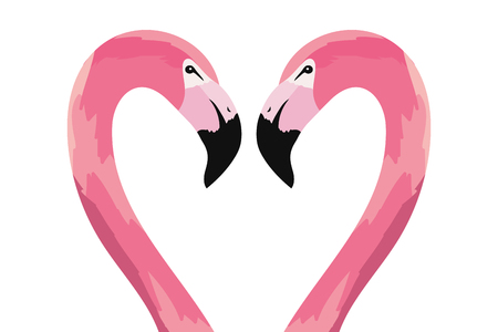 tropical flamingos couple cartoon vector illustration graphic designのイラスト素材