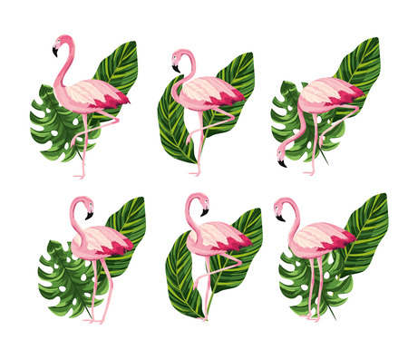 set flamingos animal with tropical leaves vector illustrationのイラスト素材