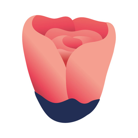 floral tropical cartoonのイラスト素材