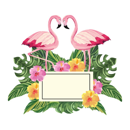 tropical flamingos flowers square cartoon vector illustration graphic designのイラスト素材