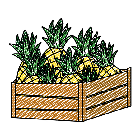 doodle delicious pineapples fruits inside wood basket vector illustrationのイラスト素材
