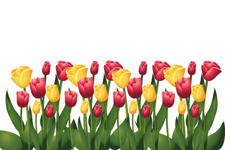floral tropical flowers garden cartoon vector illustration graphic designのイラスト素材