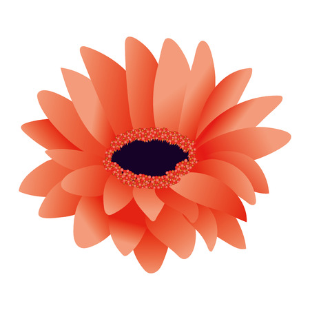 floral tropical cartoonのイラスト素材