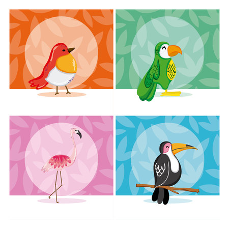 Set of exotic birds collection vector illustration graphic designのイラスト素材
