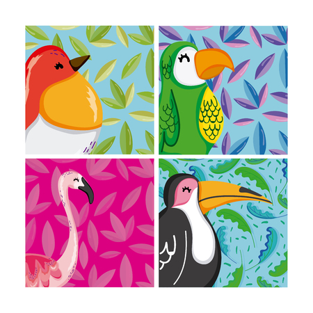 Set of exotic birds collection vector illustration graphic designのイラスト素材