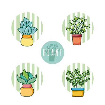 Set of cactus in pots cartoons vector illustration graphic designのイラスト素材