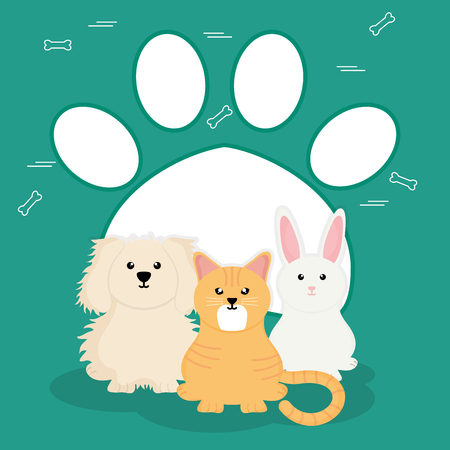group of cute pets characters vector illustration designのイラスト素材