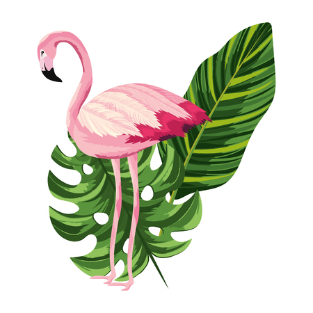 tropical flamingo with sheet leaf cartoon vector illustration graphic designのイラスト素材