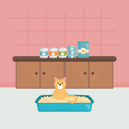 cute little cat in sand box in the houseのイラスト素材