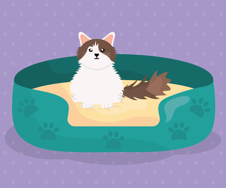 cute little cat in the bedのイラスト素材