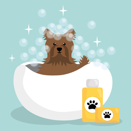 cute little dog with bath tubのイラスト素材