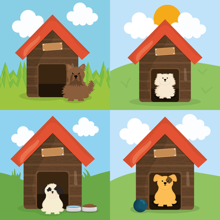 cute little dogs in wooden house pets charactersのイラスト素材