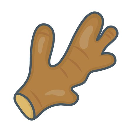 delicious healthy meal vegetable arracacha cartoon vector illustration graphic designのイラスト素材