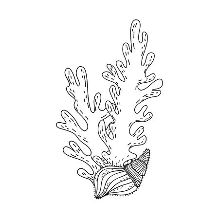 algae seaweed nature icon vector illustration designのイラスト素材
