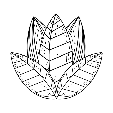 garden bush natural scene vector illustration designのイラスト素材