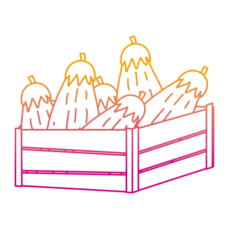 degraded line healthy eggplants vegetables inside wood basketのイラスト素材