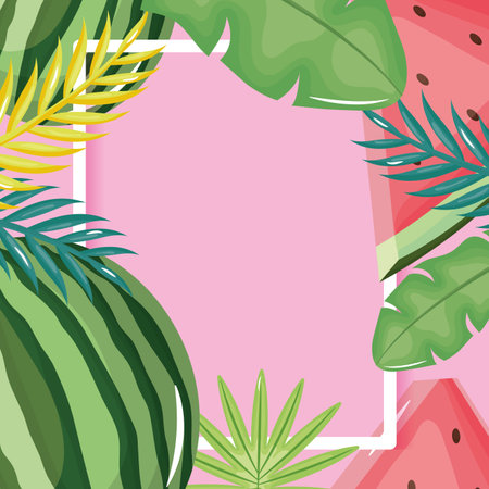 fresh watermelon and leafs palms square frameのイラスト素材