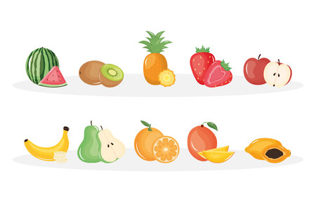 group of tropical and fresh fruits vector illustration designのイラスト素材