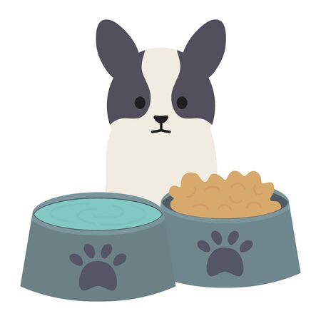 little dog adorable with dishes food and waterのイラスト素材