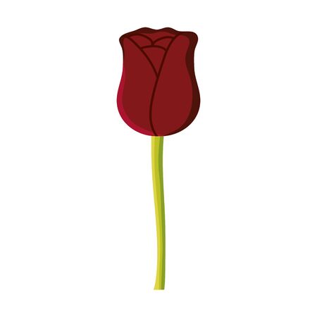 rose flower garden nature icon vector illustration designのイラスト素材