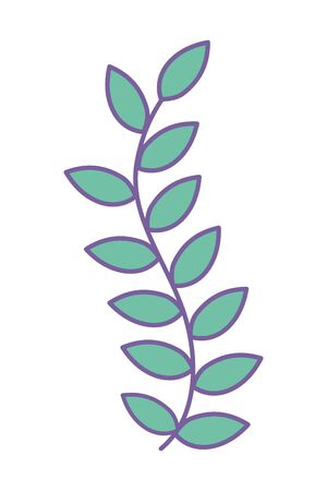 Isolated leaves design vector illustrationのイラスト素材