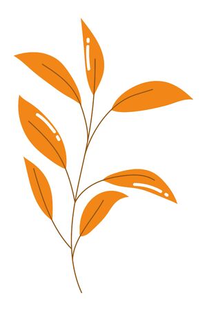 Isolated leaves vector design vector illustrationのイラスト素材