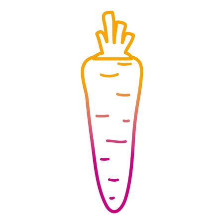 degraded line healthy carrot fresh organic vegetable vector illustrationのイラスト素材