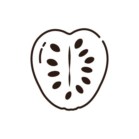 Isolated custard apple icon line vector designのイラスト素材