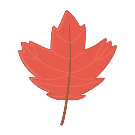 maple natural leaf foliage autumn on white backgroundのイラスト素材