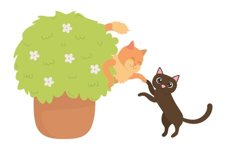 Cats cartoons design vector illustratorのイラスト素材