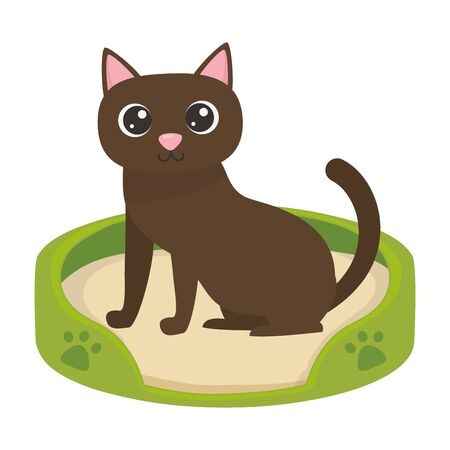 Cat cartoon in bed design, Mascot pet animal domestic cute life nature and fauna theme illustrationのイラスト素材