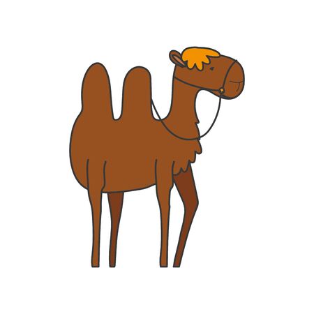 camel desert animal cartoon on white backgroundのイラスト素材