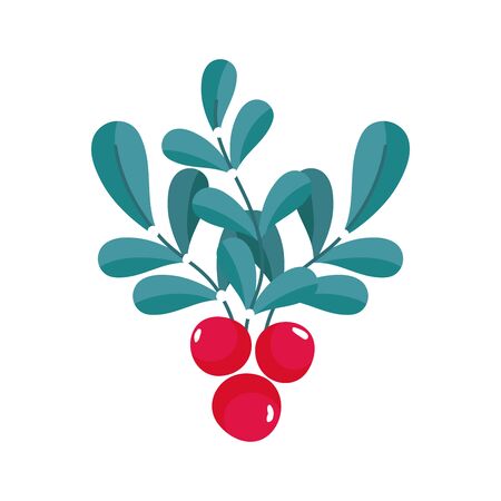leaves foliage berries seeds nature iconのイラスト素材