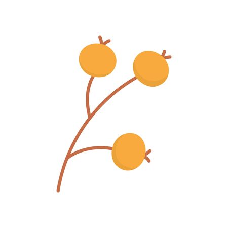 botanical flora branch fruits on white backgroundのイラスト素材