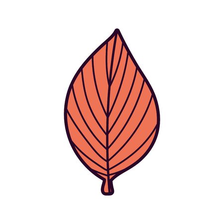 leaf foliage nature on white backgroundのイラスト素材