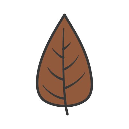 autumn leaf nature foliage on white backgroundのイラスト素材