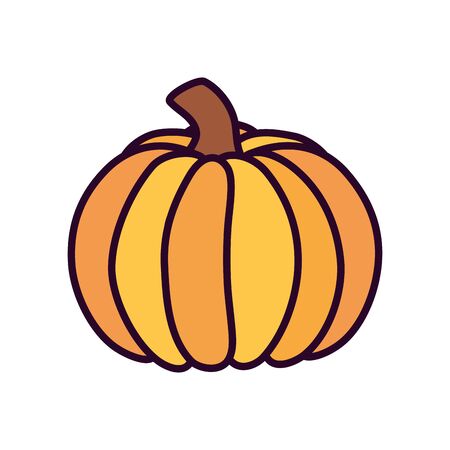 pumpkin vegetable harvest on white backgroundのイラスト素材