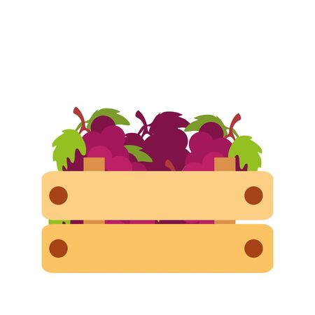 grapes fruits in wooden box flat style iconのイラスト素材