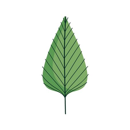 leaf foliage botanical nature icon designのイラスト素材