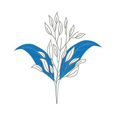 Isolated leaves drawing designのイラスト素材