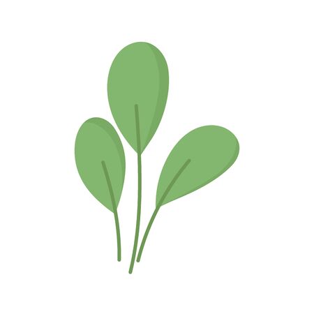 plant leaves foliage nature iconのイラスト素材