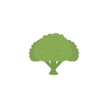 vegetable broccoli flat style icon vector illustration designのイラスト素材