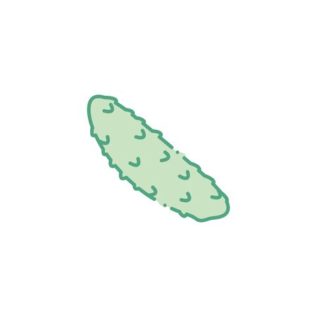 vegetable cucumber fill style iconのイラスト素材