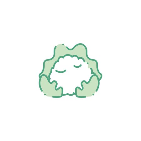 vegetable cauliflower fill style iconのイラスト素材