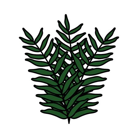 exotic and tropical leafs plant decorationのイラスト素材
