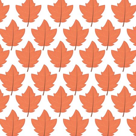 background maple leaves branches decoration autumn vector illustrationのイラスト素材