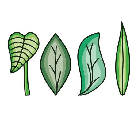 set of leafs nature iconsのイラスト素材