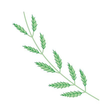 Leaf design, Plant floral garden nature decoration ornament and season theme Vector illustrationのイラスト素材